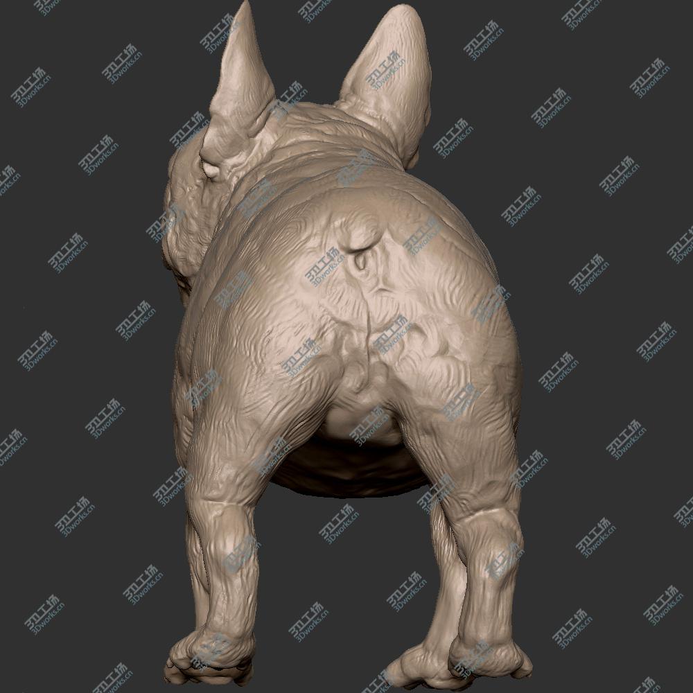 images/goods_img/20200601/231 狼 狗 犬 斗牛犬 恶霸犬 STL 手办 3D扫描 3D打印 雕像 高模 雕塑 zbrush/4.jpg